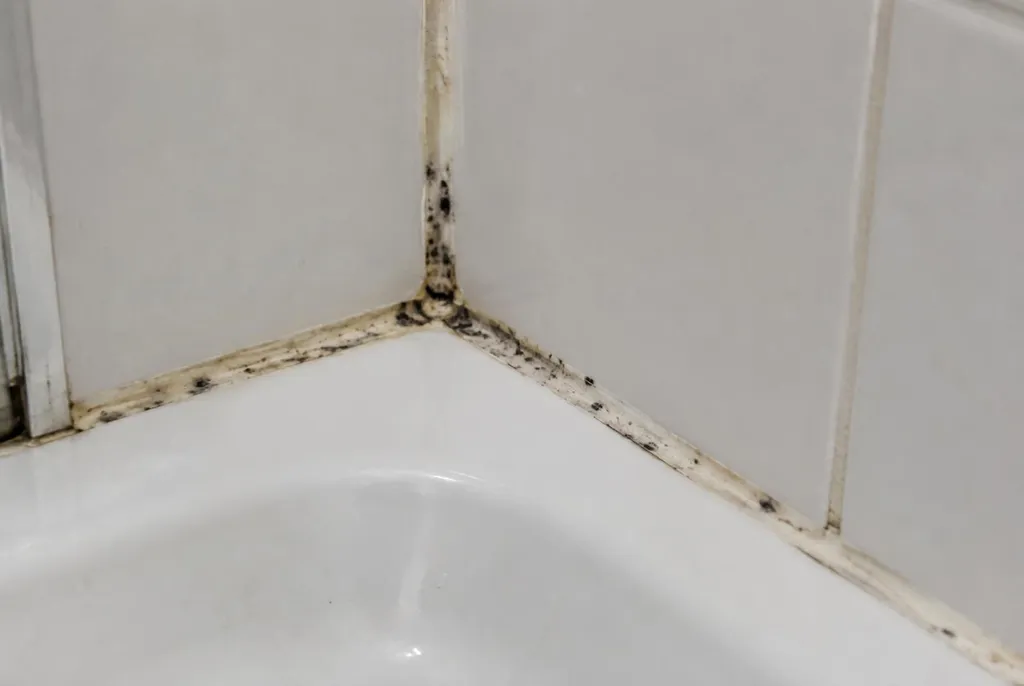 Kitbedrijf Zeist – beschimmelde kitranden